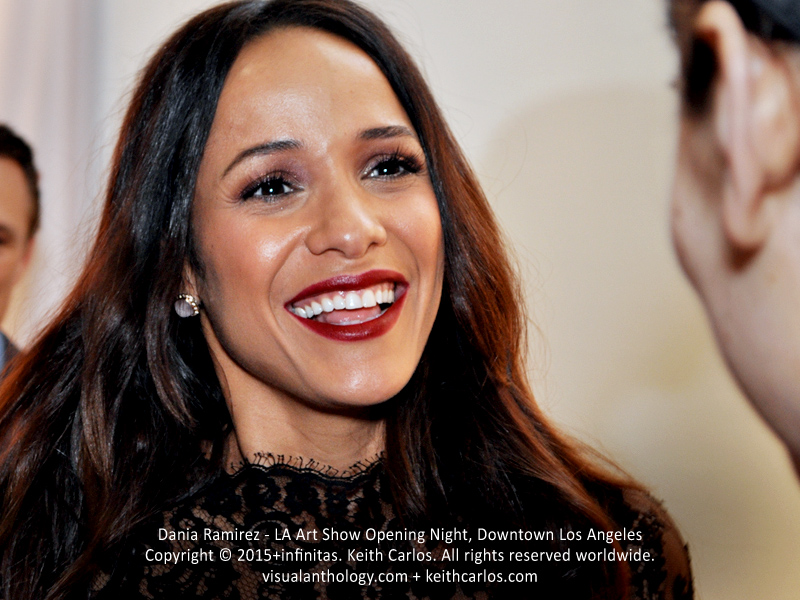 Dania Ramirez - LA Art Show Red Carpet, Los Angeles
